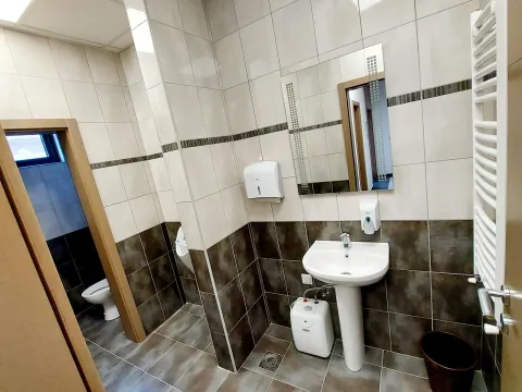 Izdavanje, poslovni prostor, 831m², Trstenik, Srbija - image 5