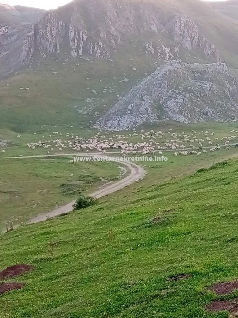 Sale, house, 33m², Dobrilovina, Mojkovac