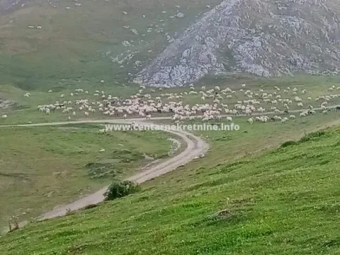 Prodaja, kuća, 33m², Dobrilovina, Mojkovac - image 2