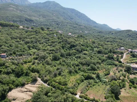 Prodaja, plac, 3000m², Radanovići, Kotor - image 14