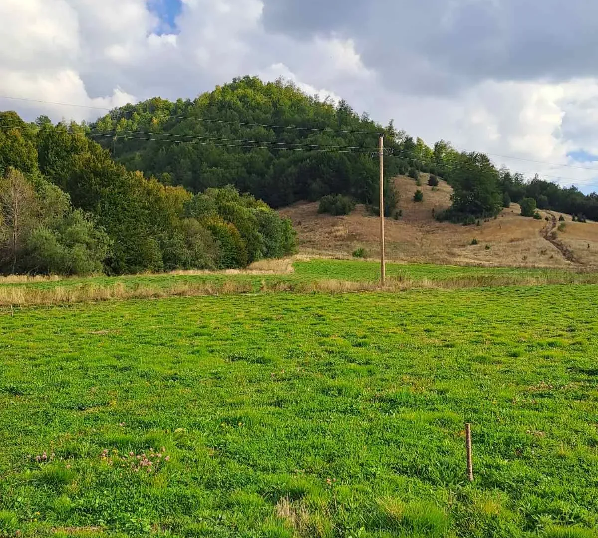 Prodaja, plac, 7000m², Veruša, Podgorica