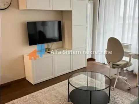 Izdavanje, dvosoban stan, 50m², Stari Grad, Beograd - image 15