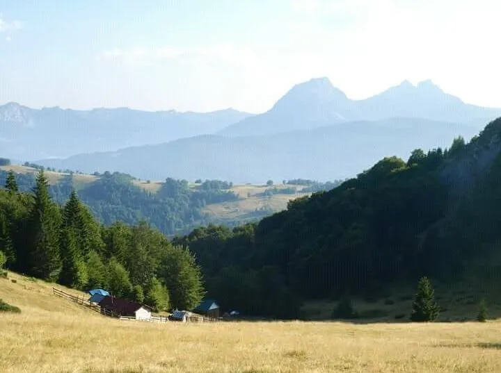 Sale, land lot, 18878m², Zabrđe, Andrijevica