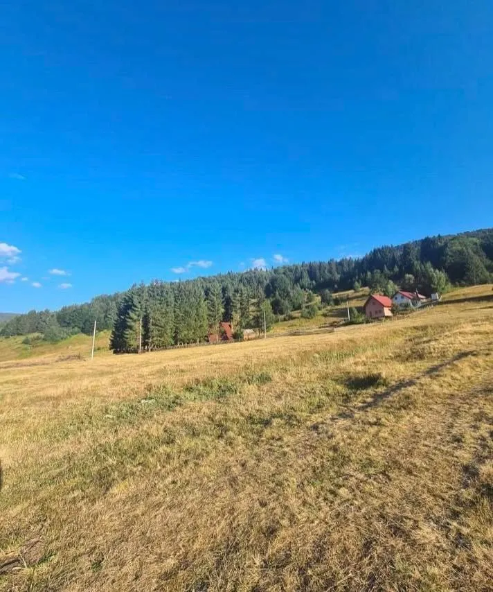 Prodaja, plac, 10000m², Berane, Crna Gora