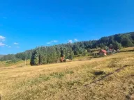 Sale, land lot, 10000m², Berane, Crna Gora - image 3