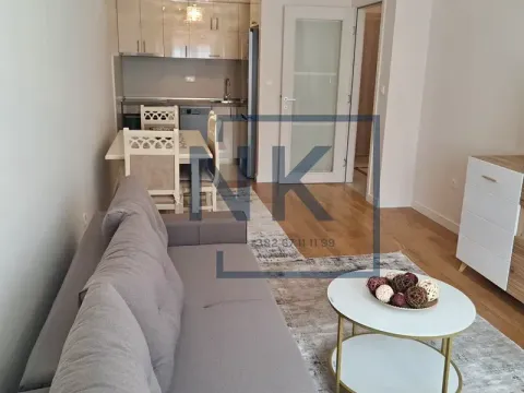 Izdavanje, jednosoban stan, 46m², Central Point, Podgorica - image 2