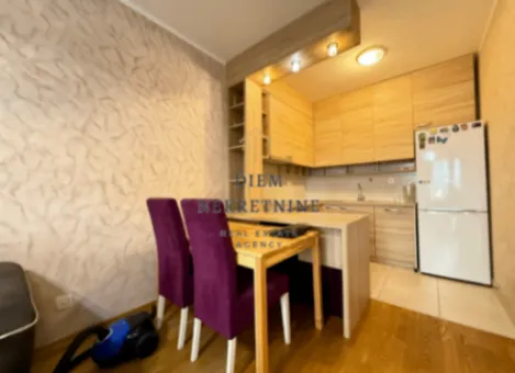 Izdavanje, stan, 50m², Ljubović, Podgorica - image 7