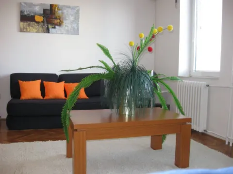 Rent, studio apartment, 28m², Centar, Novi Sad - image 11