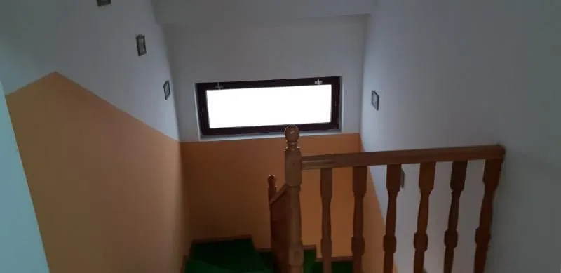 Sale, house, 280m², Telep, Novi Sad Sve Podlokacije
