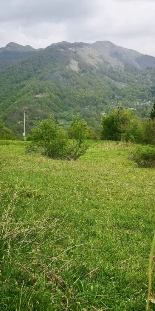 Prodaja, plac, 3500m², Bašanje Brdo, Kolašin
