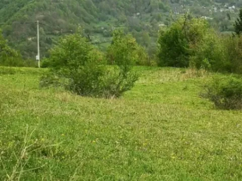 Sale, land lot, 3500m², Bašanje Brdo, Kolašin - image 7