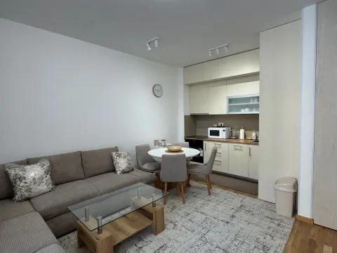 Rent, one bedroom apartment, 44m², Bečići, Budva - image 3