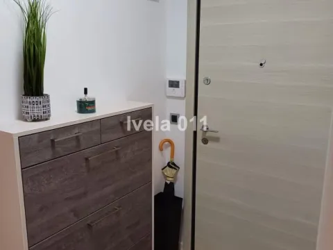 Izdavanje, dvosoban stan, 43m², Zemun Centar, Zemun Sve Podlokacije - image 5