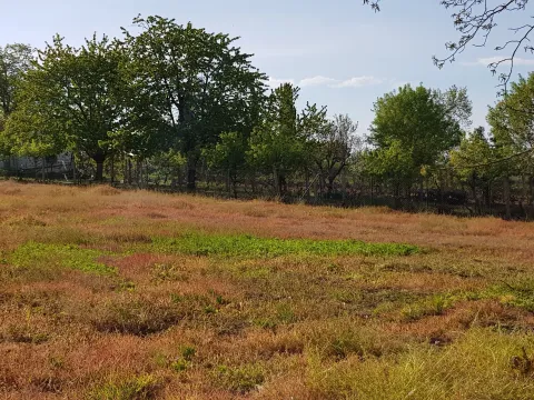 Prodaja, plac, 1700m², Fruška Gora, Novi Sad - image 2