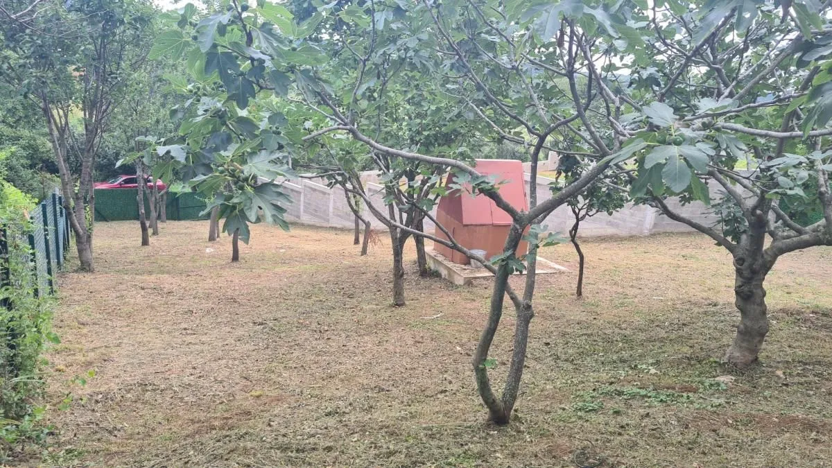 Prodaja, kuća, 86m², Banja Vrdnik, Irig