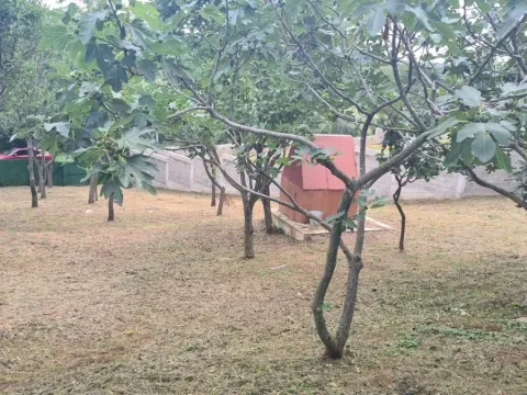 Sale, house, 86m², Banja Vrdnik, Irig - image 7