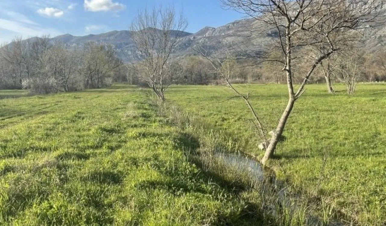 Prodaja, plac, 3282m², Buljarica, Budva