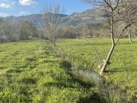 Zemljište in Buljarica