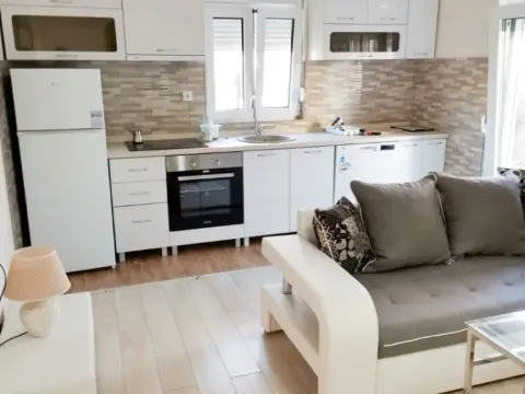 Izdavanje, jednosoban stan, 45m², Stari Aerodrom, Podgorica - image 4