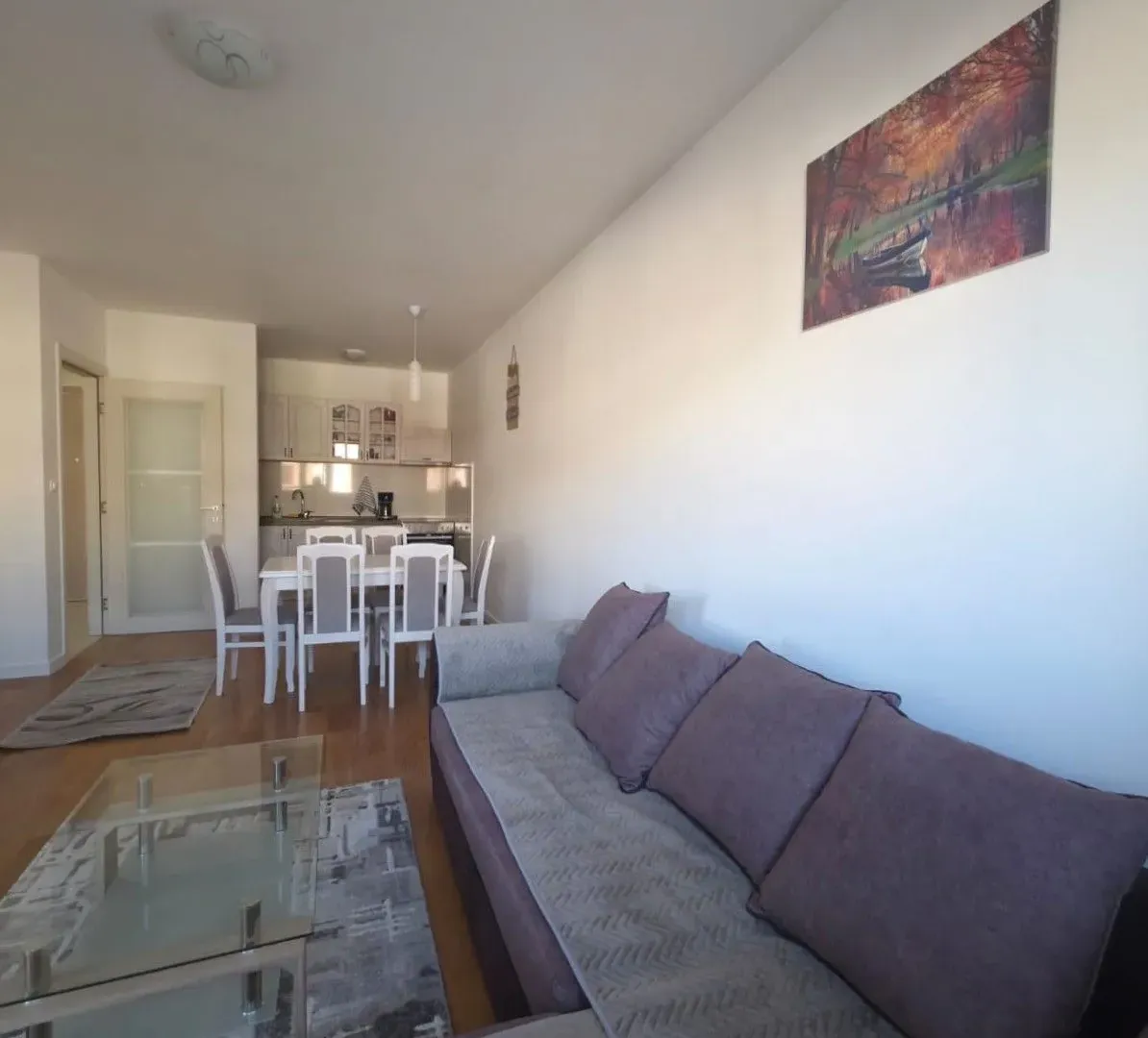 Rent, one bedroom apartment, 49m², Central Point, Podgorica