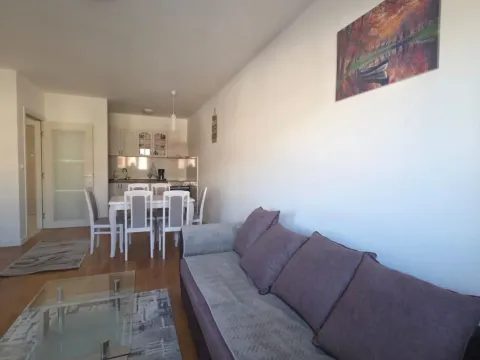 Rent, one bedroom apartment, 49m², Central Point, Podgorica - image 5