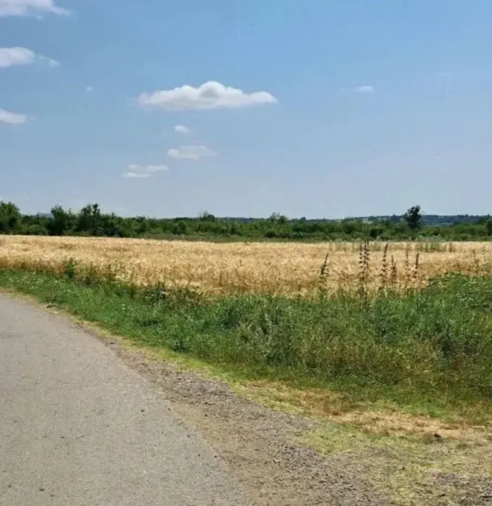 Sale, land lot, 6000m², Veliki Borak, Barajevo