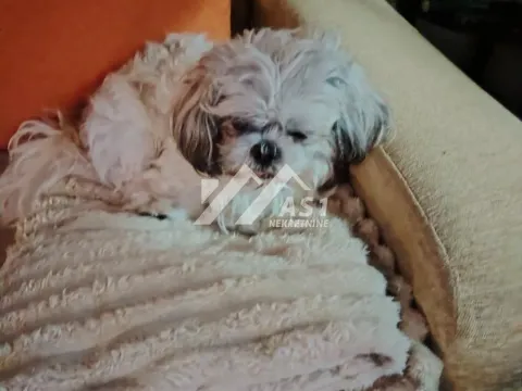 Izdavanje, jednosoban stan, 38m², Sajam, Novi Sad Sve Podlokacije - image 7