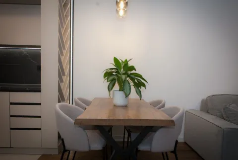 Rent, one bedroom apartment, 59m², Central Point, Podgorica - image 1383