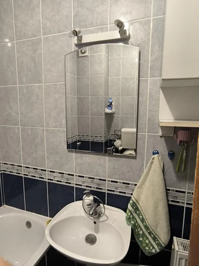 Izdavanje, jednosoban stan, 45m², Grbavica, Novi Sad Sve Podlokacije