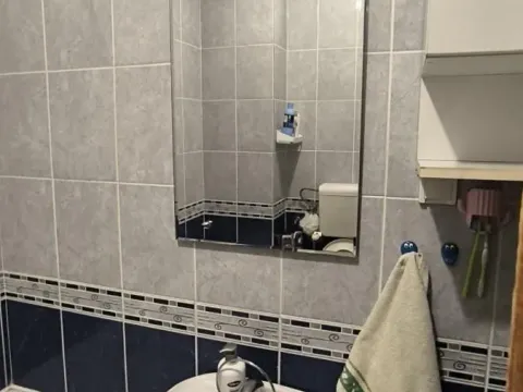 Rent, one bedroom apartment, 45m², Grbavica, Novi Sad Sve Podlokacije - image 8