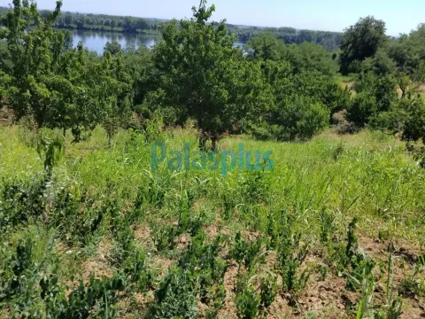 Sale, land lot, 2476m², Plavinci, Grocka - image 5