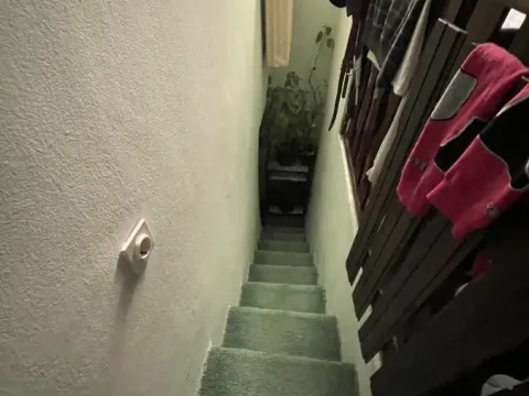 Prodaja, kuća, 155m², Sremska Kamenica, Petrovaradin - image 19