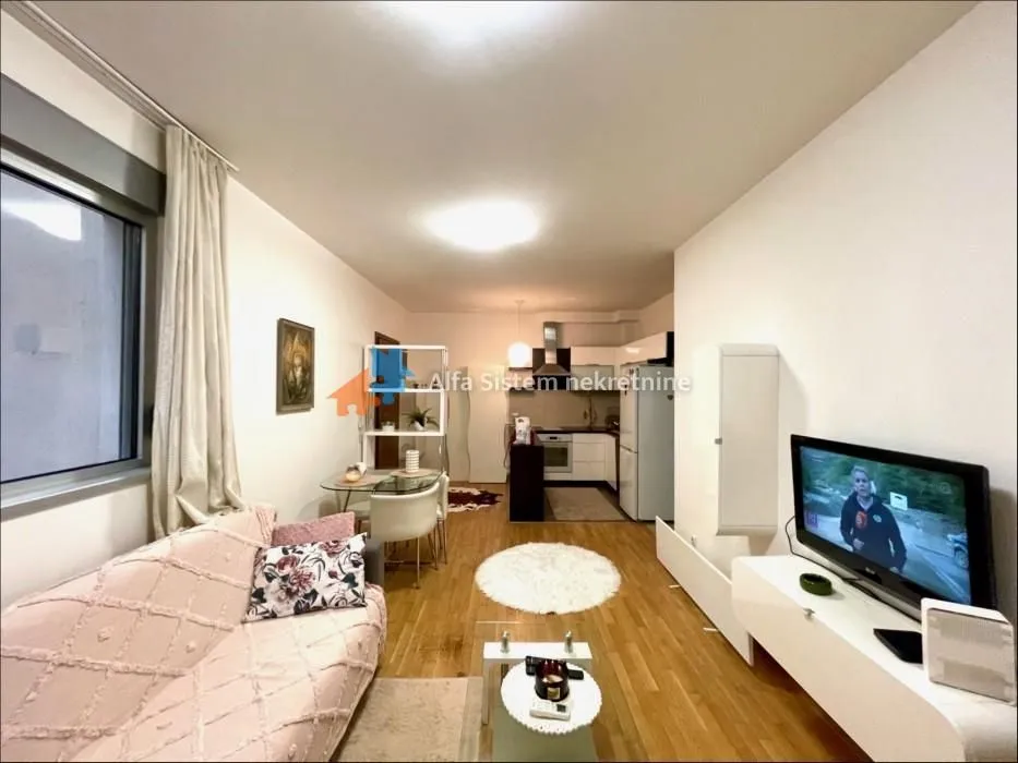 Rent, two bedroom apartment, 45m², Severni Bulevar, Zvezdara Sve Podlokacije