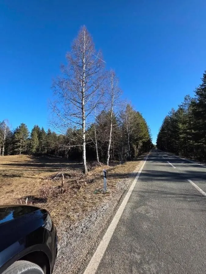 Prodaja, plac, 50000m², Borje, Žabljak