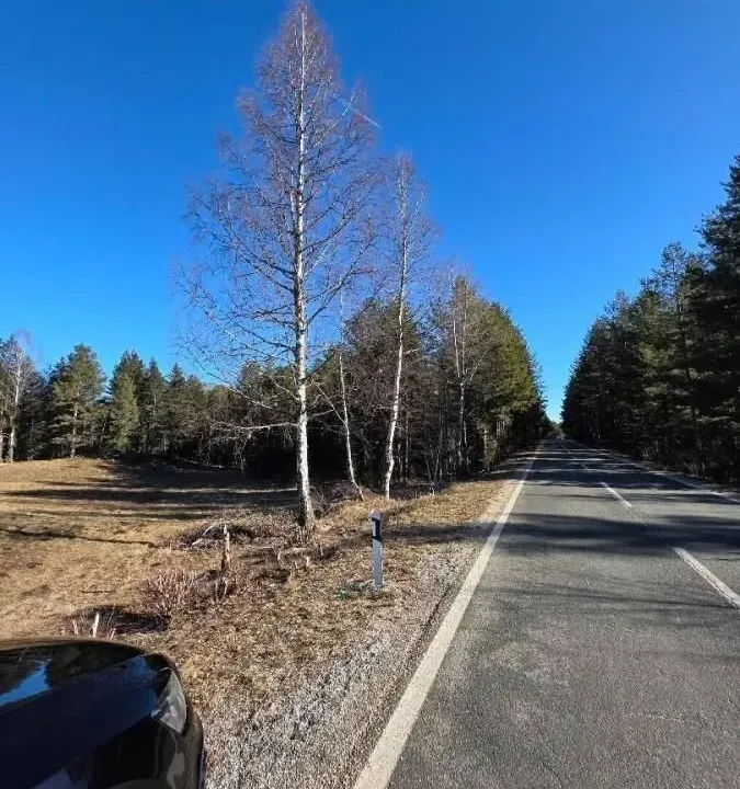 Prodaja, plac, 50000m², Borje, Žabljak