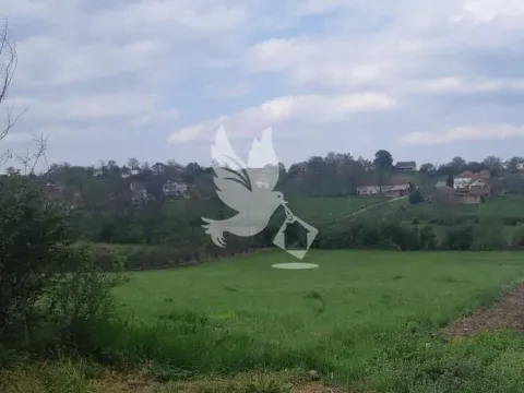 Prodaja, plac, 12000m², Koraćica, Mladenovac - image 4