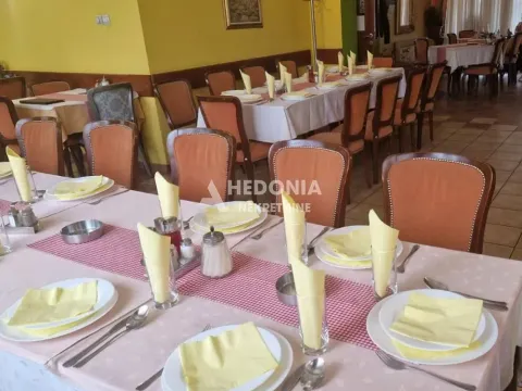 Prodaja, ugostiteljski objekat, 480m², Centar, Stara Pazova - image 4