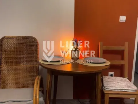 Izdavanje, dvosoban stan, 55m², Stari Grad, Beograd - image 10