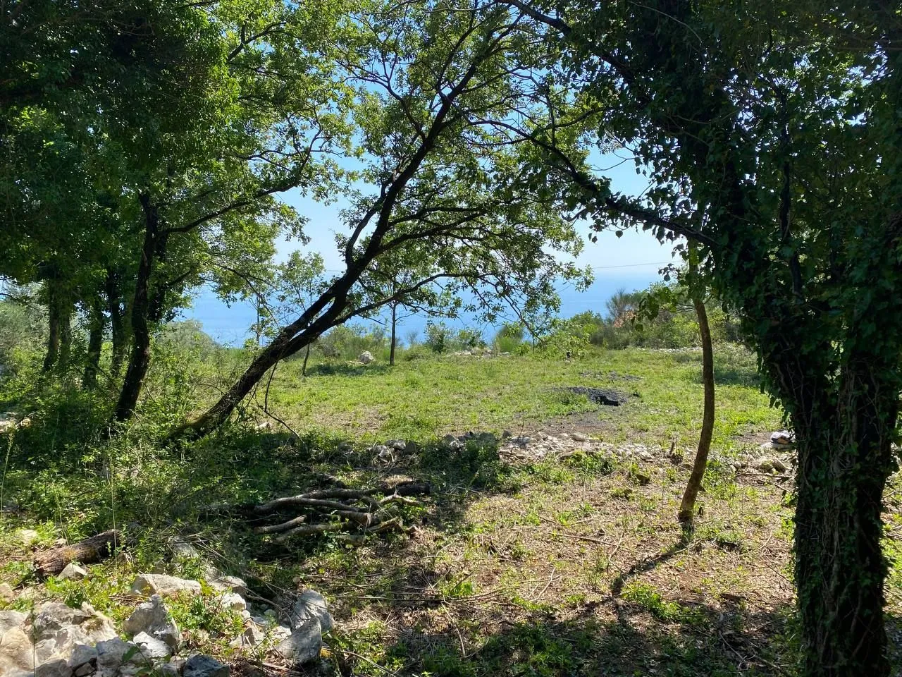 Prodaja, plac, 1803m², Kuljače, Budva