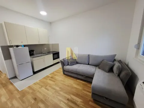 Izdavanje, garsonjera, 24m², Veternik, Novi Sad Sve Podlokacije