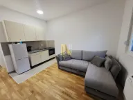 Izdavanje, garsonjera, 24m², Veternik, Novi Sad Sve Podlokacije - image 1