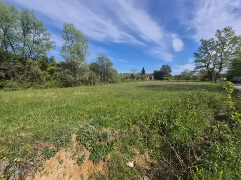 Prodaja, plac, 2000m², Ćurilac, Danilovgrad - image 4