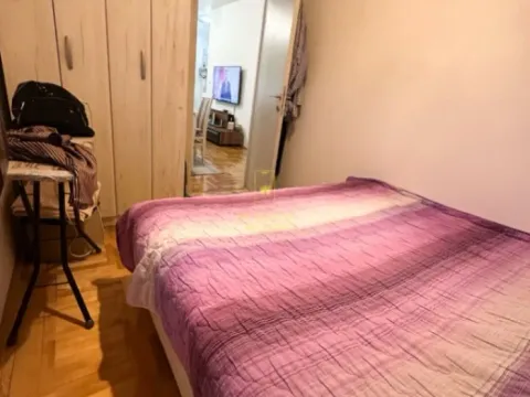 Prodaja, dvosoban stan, 49m², Ljubović, Podgorica - image 3