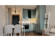 Izdavanje, dvosoban stan, 40m², Stari Grad, Beograd - image 3