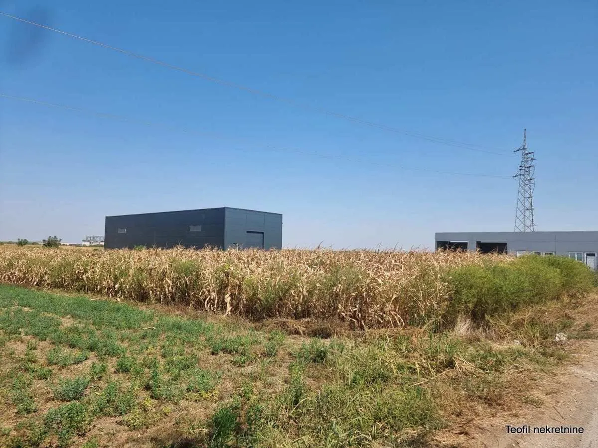 Prodaja, plac, 10000m², Surčin, Beograd