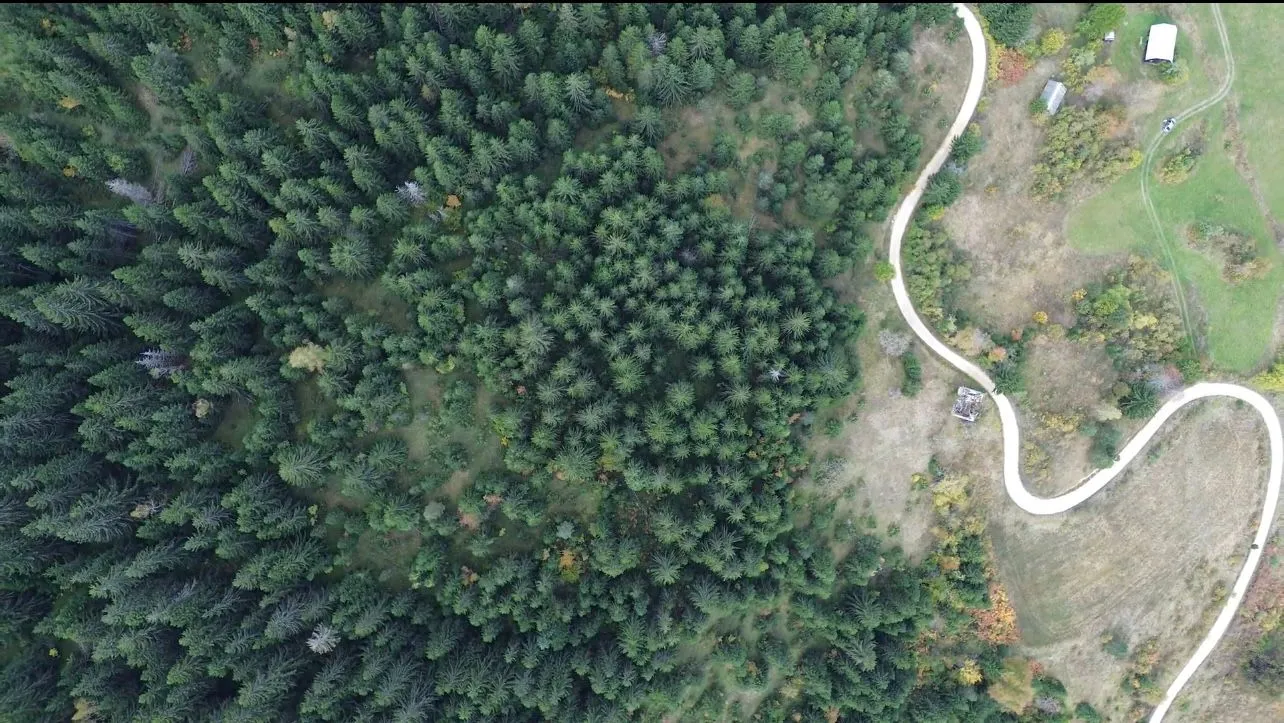 Prodaja, plac, 46000m², Pljevlja, Crna Gora