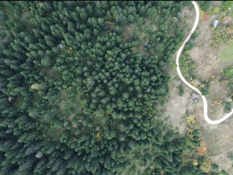 Sale, land lot, 46000m², Pljevlja, Crna Gora - image 3