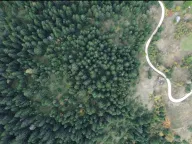 Sale, land lot, 46000m², Pljevlja, Crna Gora - image 3