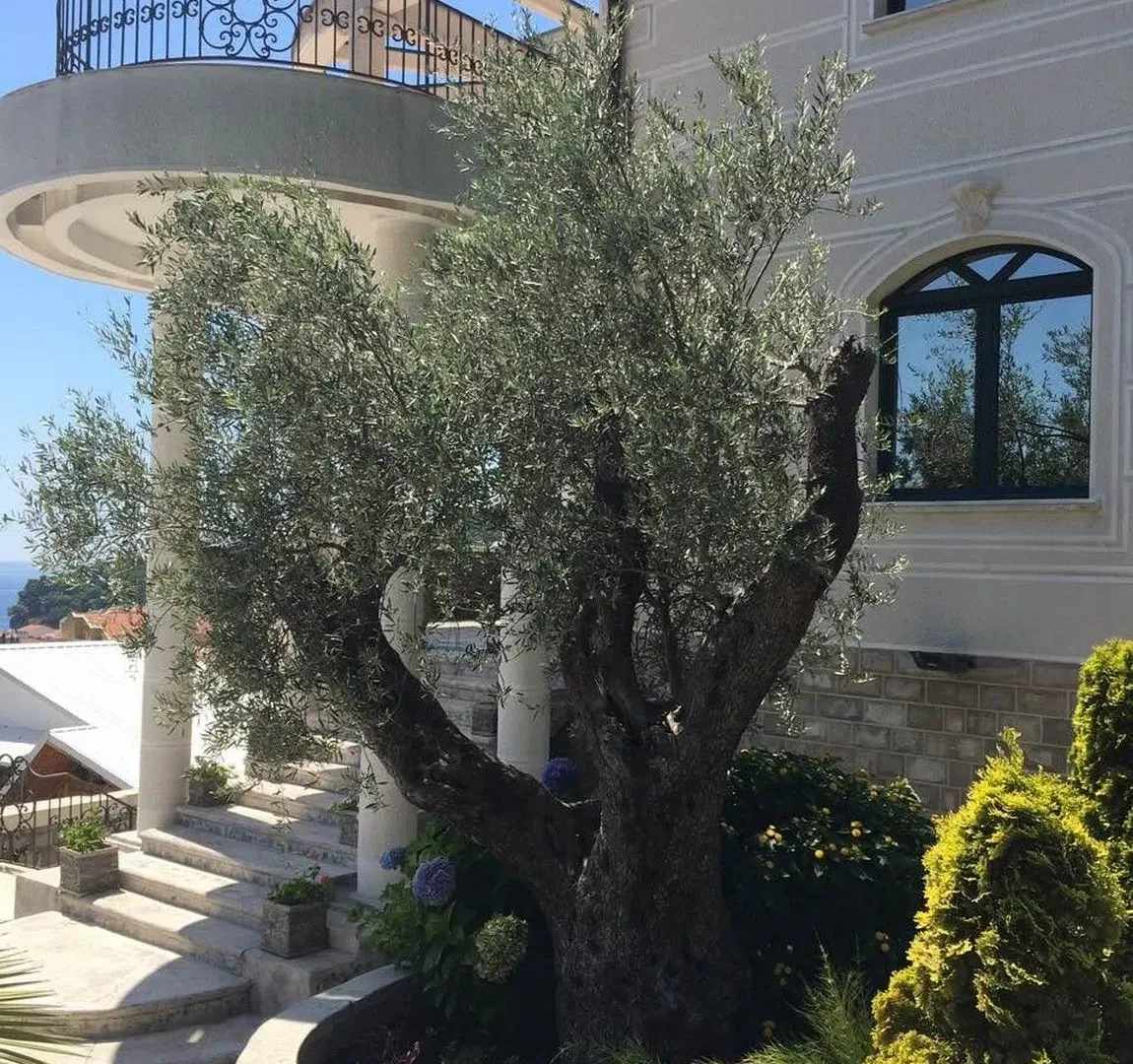 Prodaja, kuća, 560m², Petrovac, Budva