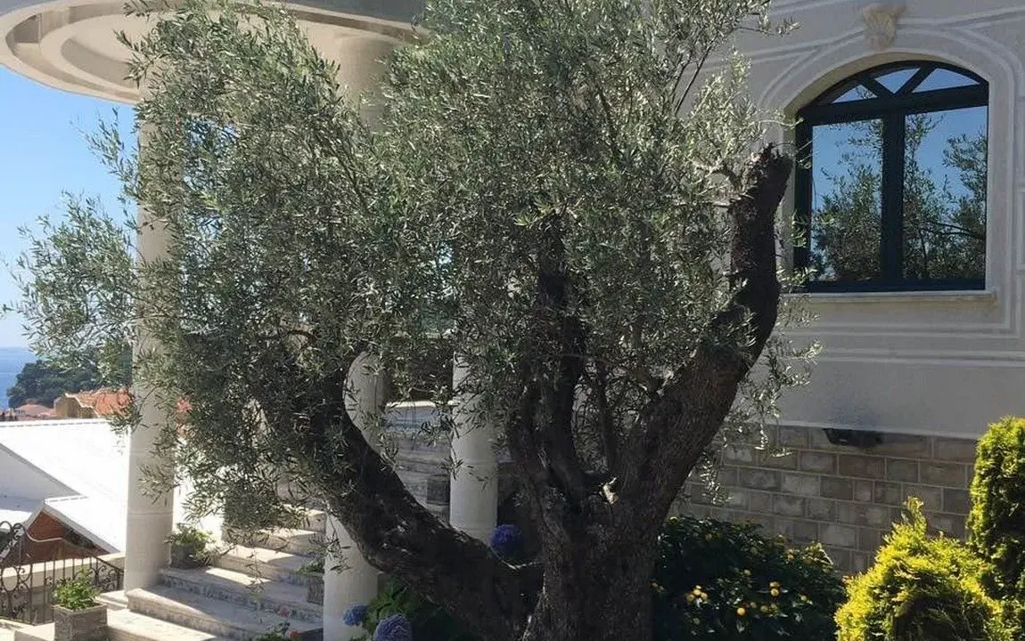 Sale, house, 560m², Petrovac, Budva